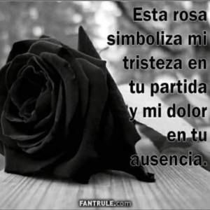 Meet your Posher, Zulma